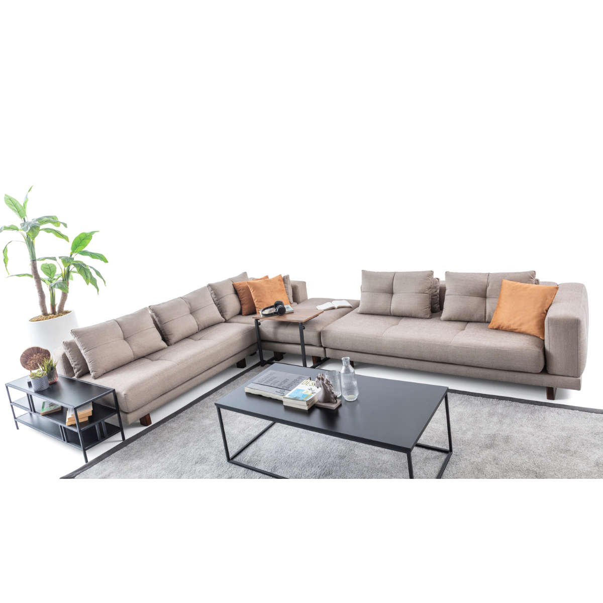 Coltar Modular, Coles