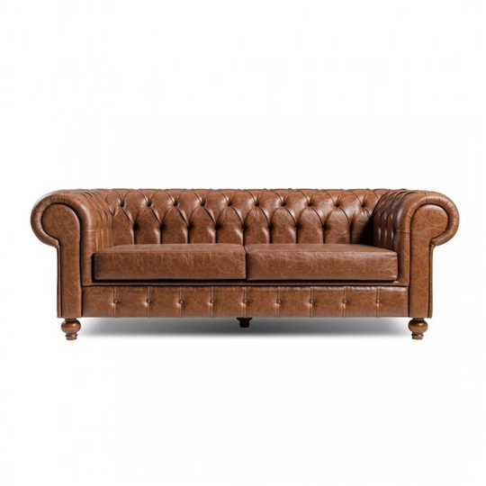 Canapea Horeca, Ary 510