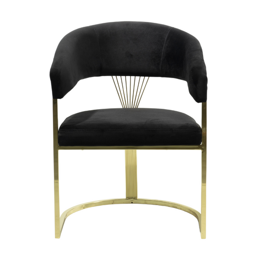 Scaun de Dining, Sergio C