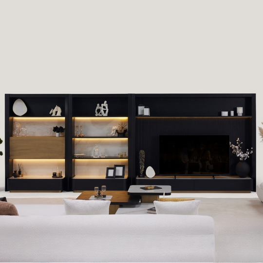 Biblioteca Modulara Moderna, Petra