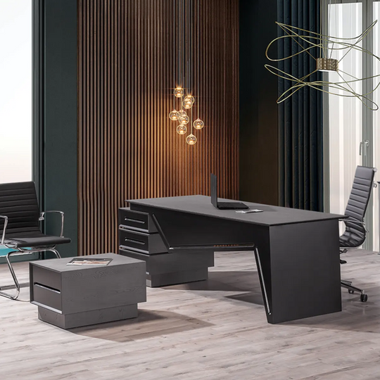 Birou managerial, Delta Antracit