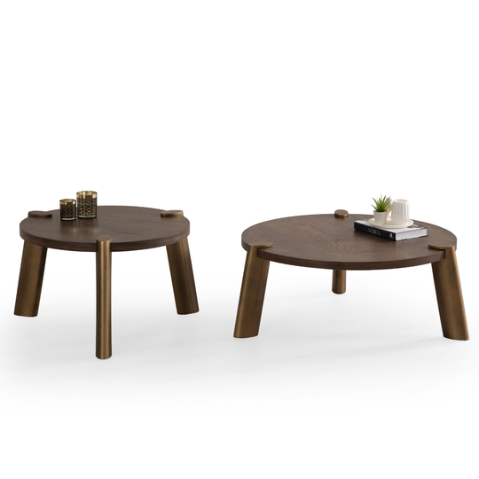 Set Mǎsuțe De Cafea, Lotus T