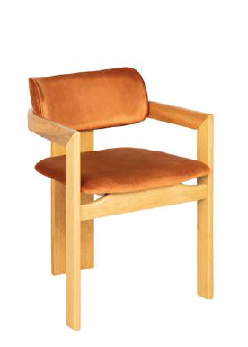 Chair with brown cushioned seat and backrest on a white background