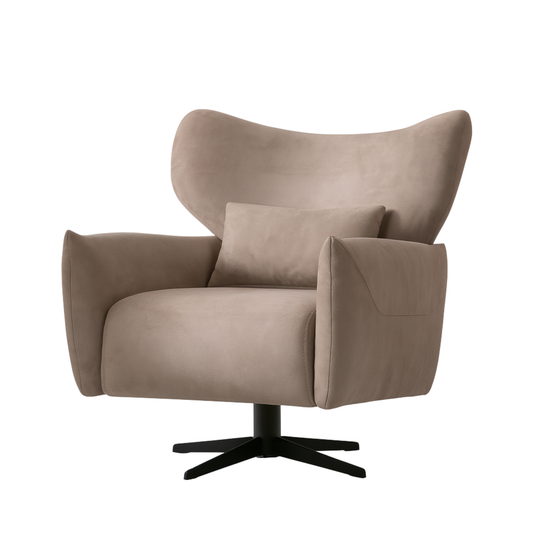 Fotoliu Modern, Caval