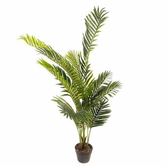 Palmier artificial,Areka