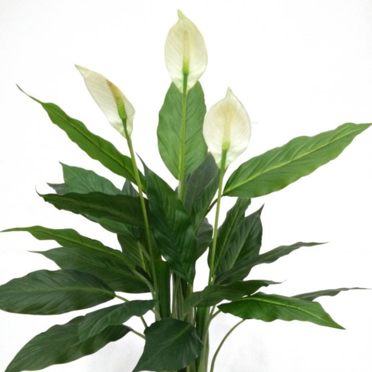 Planta artificiala Anthurium ,K1768